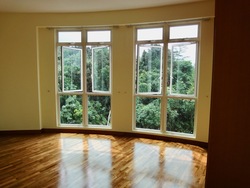The Petals (D23), Condominium #205337531